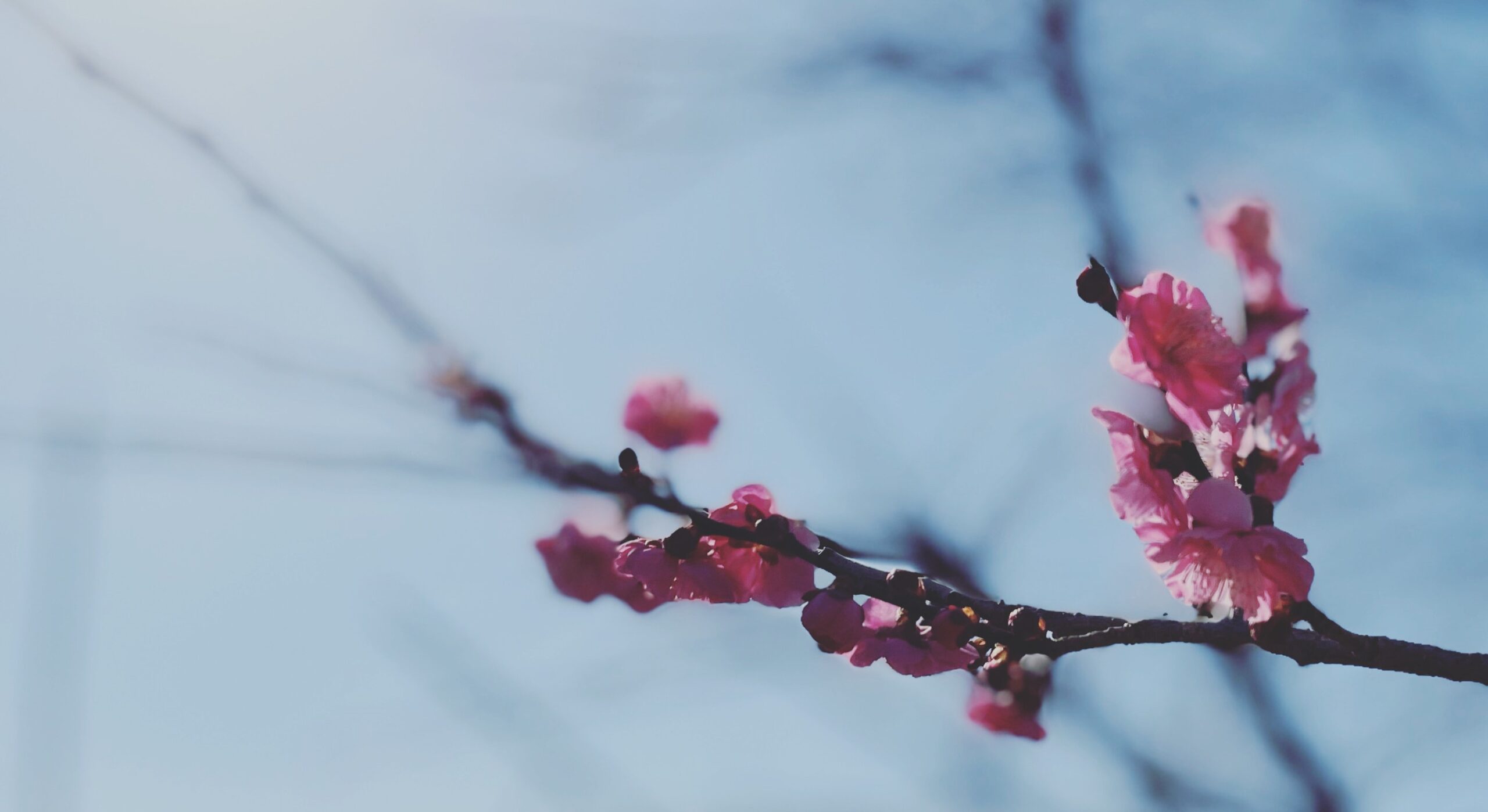 7313b848 efae 49ea 98a7 d137c0adec4f